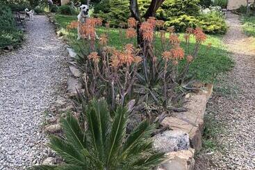 تختخواب و صبحانه La Cerca Del Alcornoque