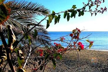 مسافرخانه La Palmera. El Amanecer En El Parque Natural