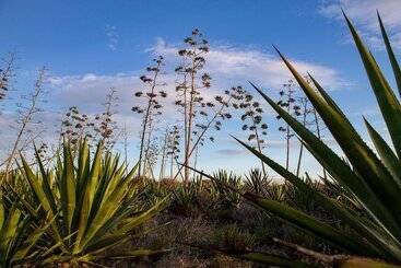 مسافرخانه La Palmera. El Amanecer En El Parque Natural