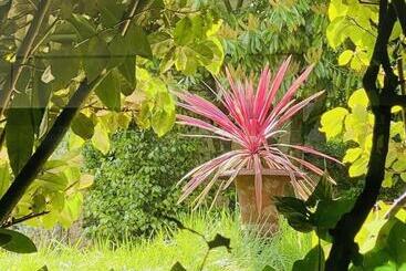 تختخواب و صبحانه Villa Talisman