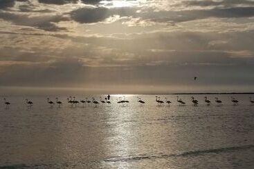 هتل Taiga Delta De L Ebre