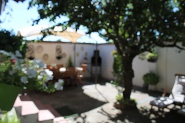 La Olmedana