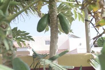Los Amigos Nest Hostel
