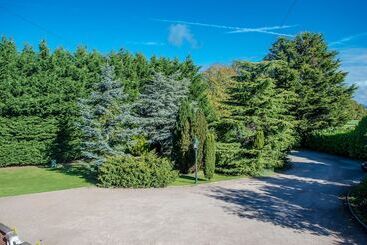 تختخواب و صبحانه The Grange Boutique Guest House