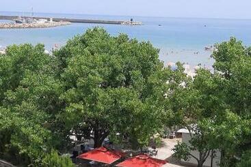 Corail Royal