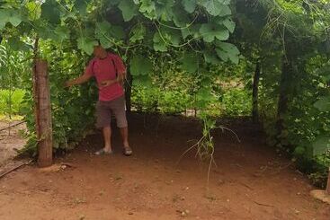 酒店 Sai Yok Noi Blue Mountain Resort