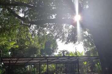 酒店 Sai Yok Noi Blue Mountain Resort