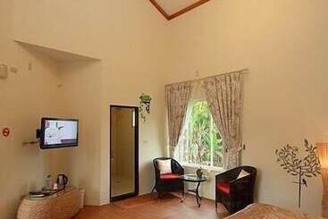 Youshuixiang B&b