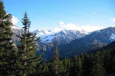 Hotelli Arlenwald