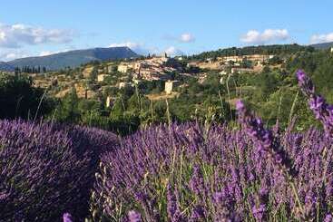 اقامتگاه Village Vacances Léo Lagrange Montbrun