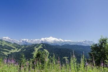 Chalet Bluebell