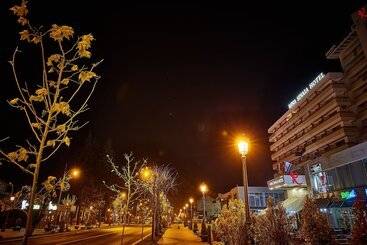 هتل Sinaia