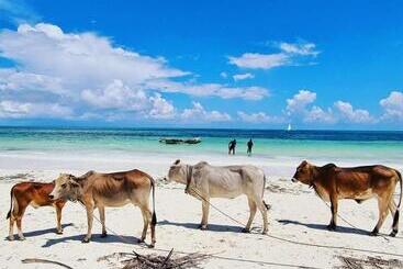 هتل Sipano Beach Lodge Kiwengwa