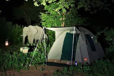 Jollyboys Camp   Hostel