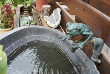 تختخواب و صبحانه Cheng Ping Hot Spring Inn