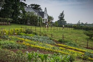 Elewana The Manor Ngorongoro