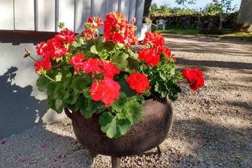 צימר Moshults Vandrarhem