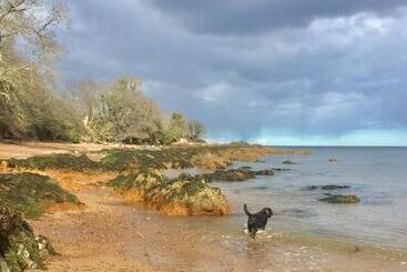 تختخواب و صبحانه Tigh Na Mara Guest House Rosemarkie  Breakfast Optional