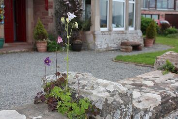 تختخواب و صبحانه Tigh Na Mara Guest House Rosemarkie  Breakfast Optional