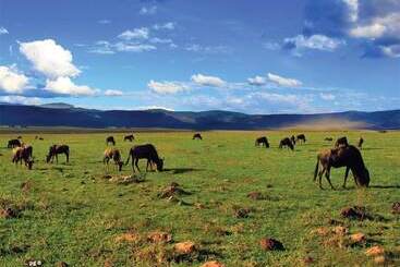هتل Kilemakyaro Mountain Lodge