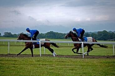 هتل The Jockey Club Rooms