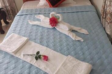 پانسیون Tam Coc White Swan Homestay