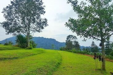 هتل Phulikit View