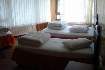 Ayder Yesil Vadi Otel