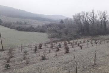 تختخواب و صبحانه Aux Vignes