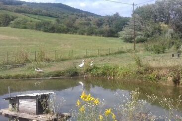 تختخواب و صبحانه Aux Vignes