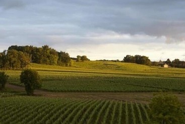 تختخواب و صبحانه Château La Rose Perriere