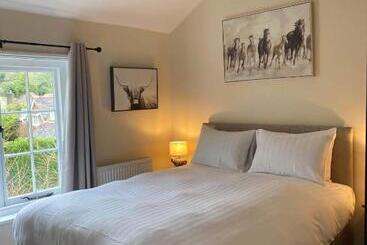 تختخواب و صبحانه The New Forest Inn