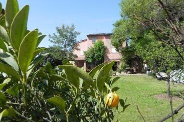 پانسیون B&b Le Clos Des Vignes Saint Raphael