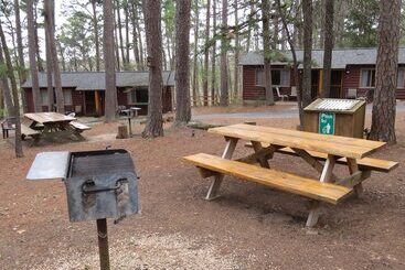 Tall Pines Inn