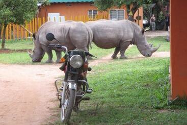 هاستل Murchison Backpackers