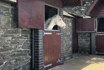 צימר Llangwyryfon Country Breaks