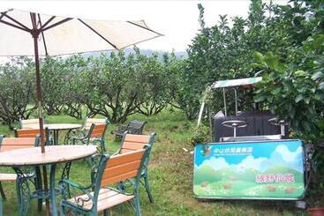 Green Ozland B&b