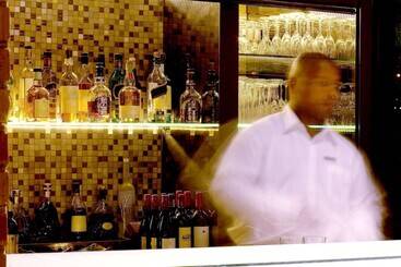 هتل Hyatt Regency Johannesburg