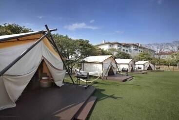هتل The Shilla Jeju