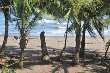 Coconut Hostel B&b