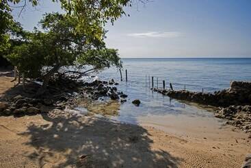 هتل Isla Tijereto