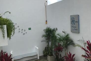 هتل Quinta Santa Anita