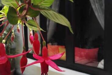 تختخواب و صبحانه Casa Elizabeth