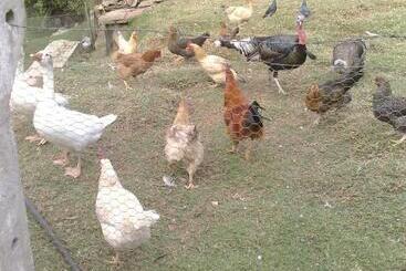 تختخواب و صبحانه Casa Huespedes El Molino