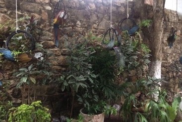 هتل Boutique Casa Berastegui