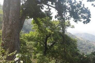 مسافرخانه Finca San Rafael   Cafe Y Cacao