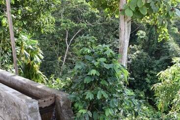 مسافرخانه Finca San Rafael   Cafe Y Cacao