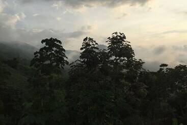 مسافرخانه Finca San Rafael   Cafe Y Cacao