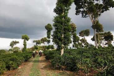 هتل روستایی Finca Agroturistica Alejandria