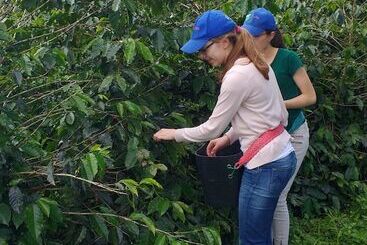 هتل روستایی Finca Agroturistica Alejandria